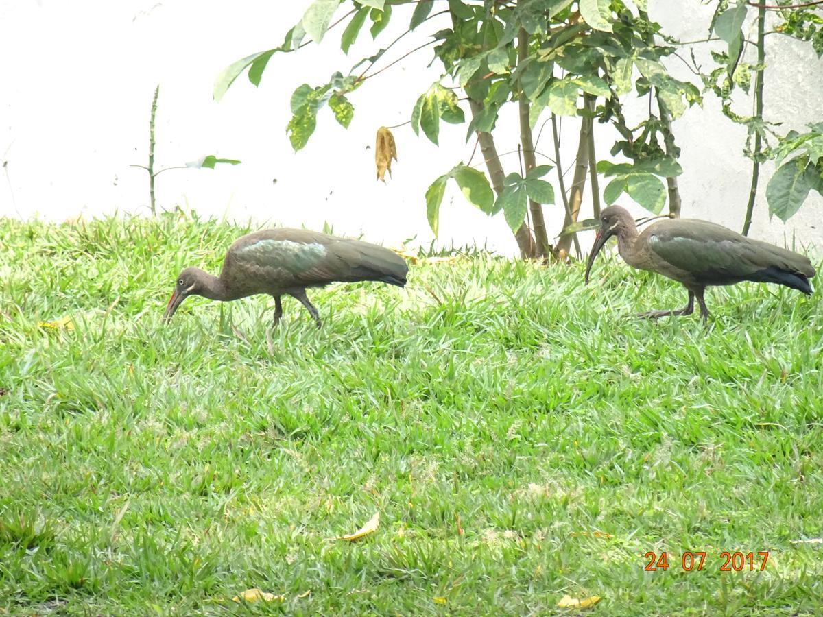Kivu Beach Garden Gisenyi Exterior foto