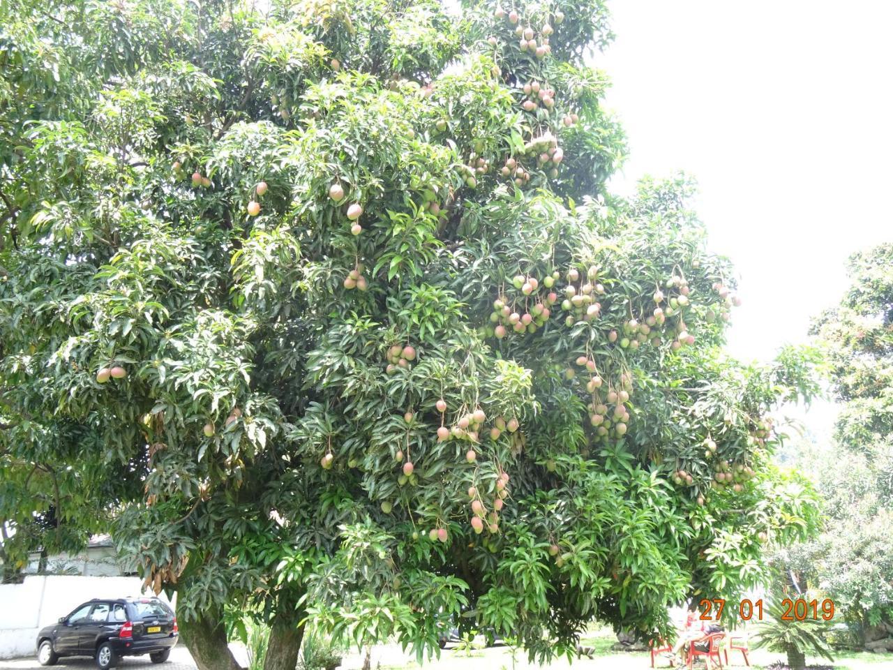 Kivu Beach Garden Gisenyi Exterior foto